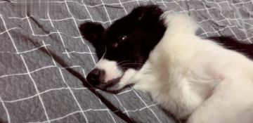 呼……tap服务器已经完成返还操作啦~~~现在操作ios和其它渠道服