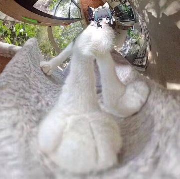 捡萌新捡萌新！！！！