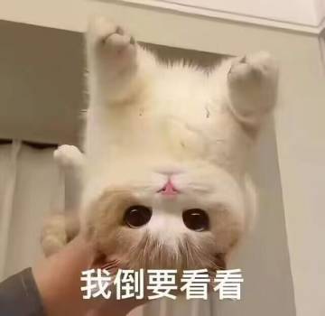 套路玩出来才是套路