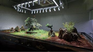 【孵化日记】小小蚁国美术设计那些事——最还原蚂蚁世界的手游