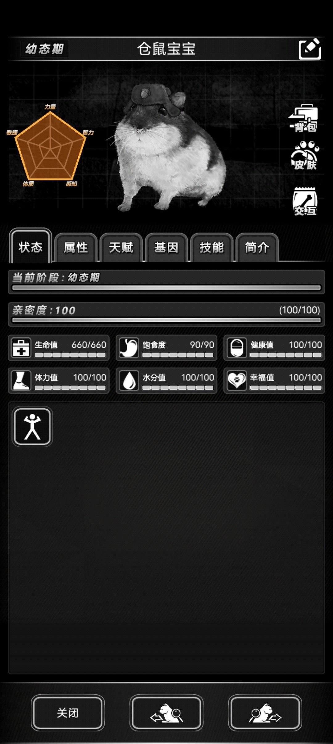宠物吃饭 2