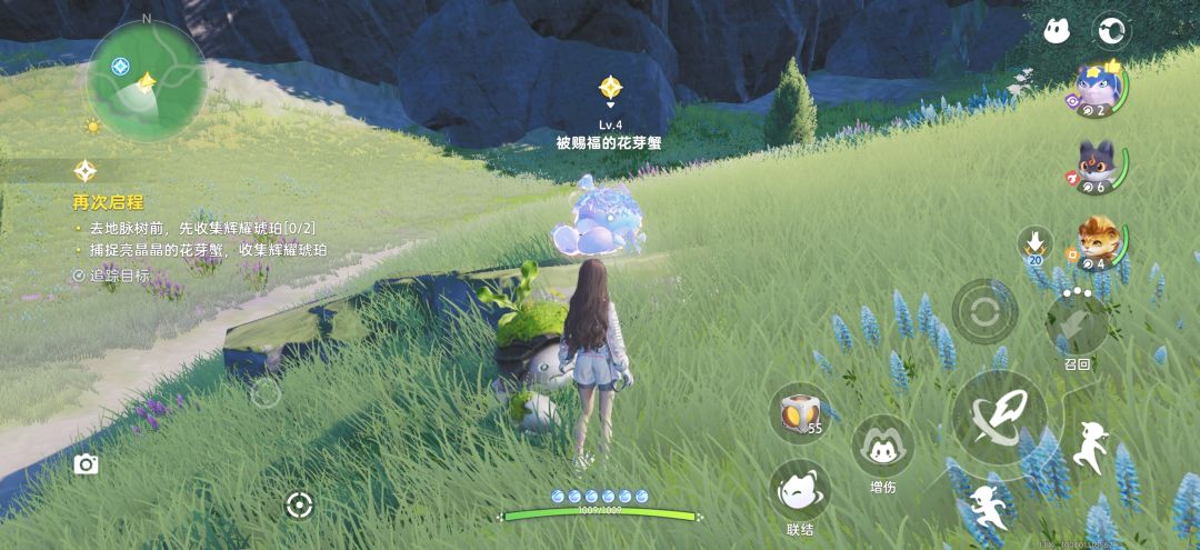被赐福的花芽蟹 1