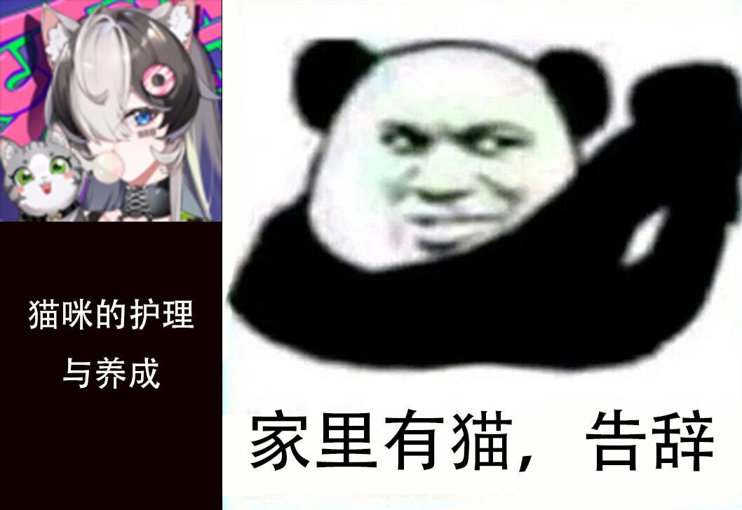 动态图片 4