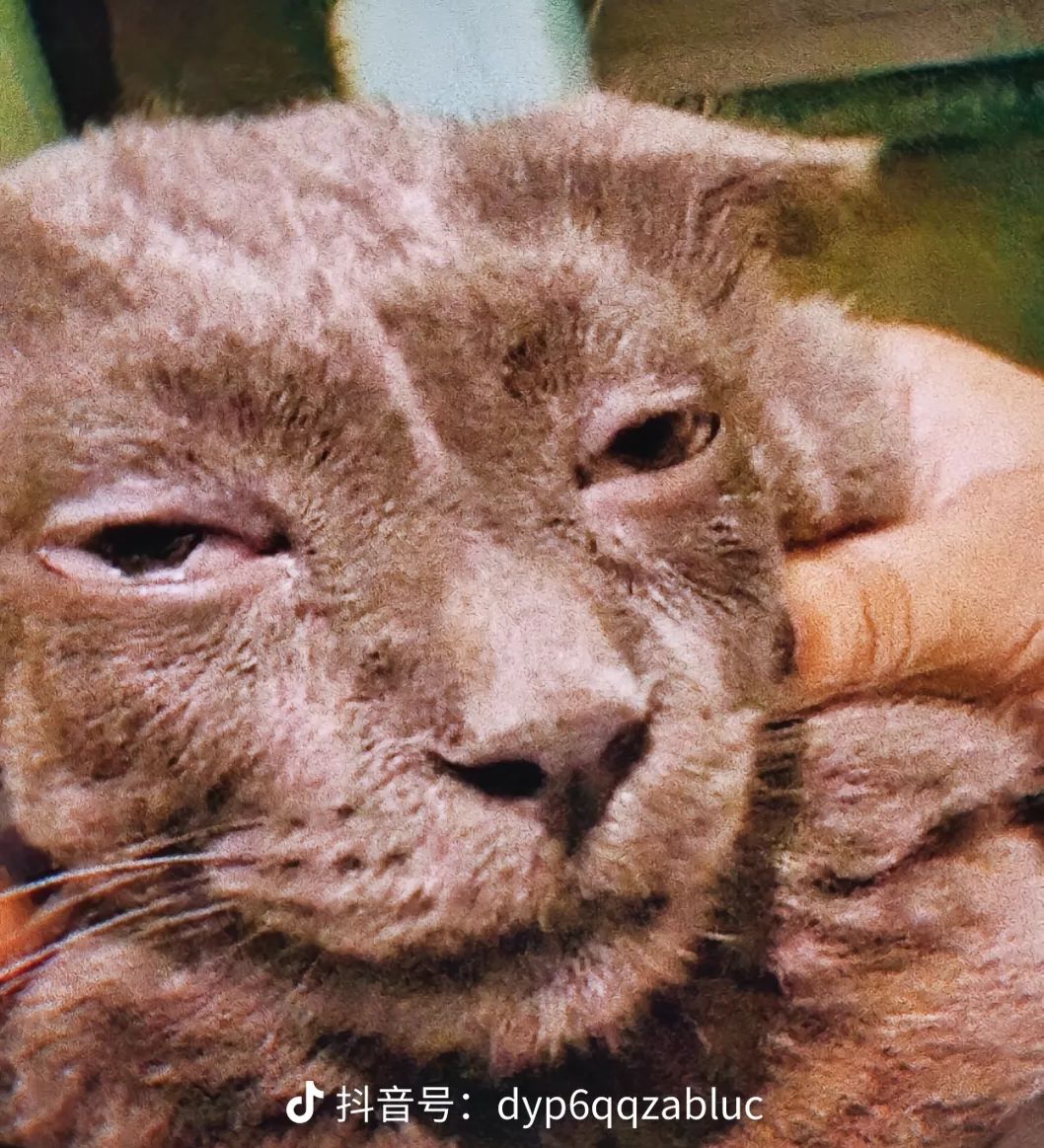 什么时候维护啊? 1