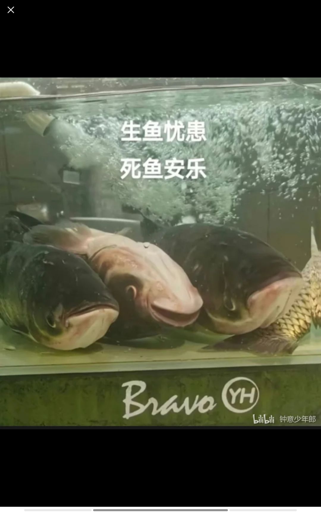 刚回归,请问一下票子换哪位角色或者专武好 3