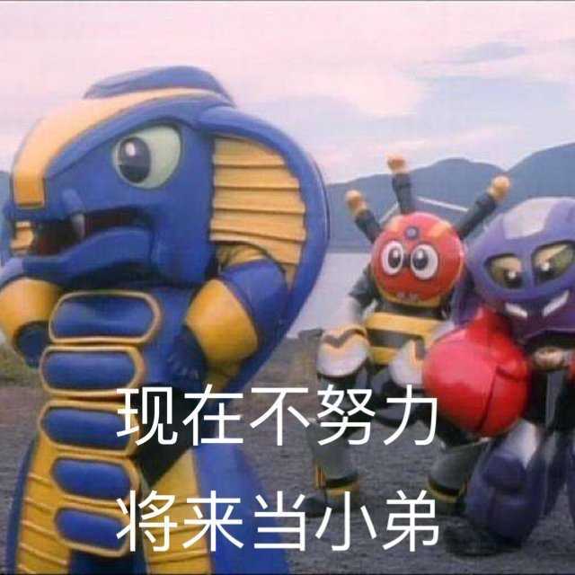 大佬们,群攻养哪个好一点,没有景元,青雀感觉太费战技点,黑塔看有的大佬说刮痧,到底养啥啊截图