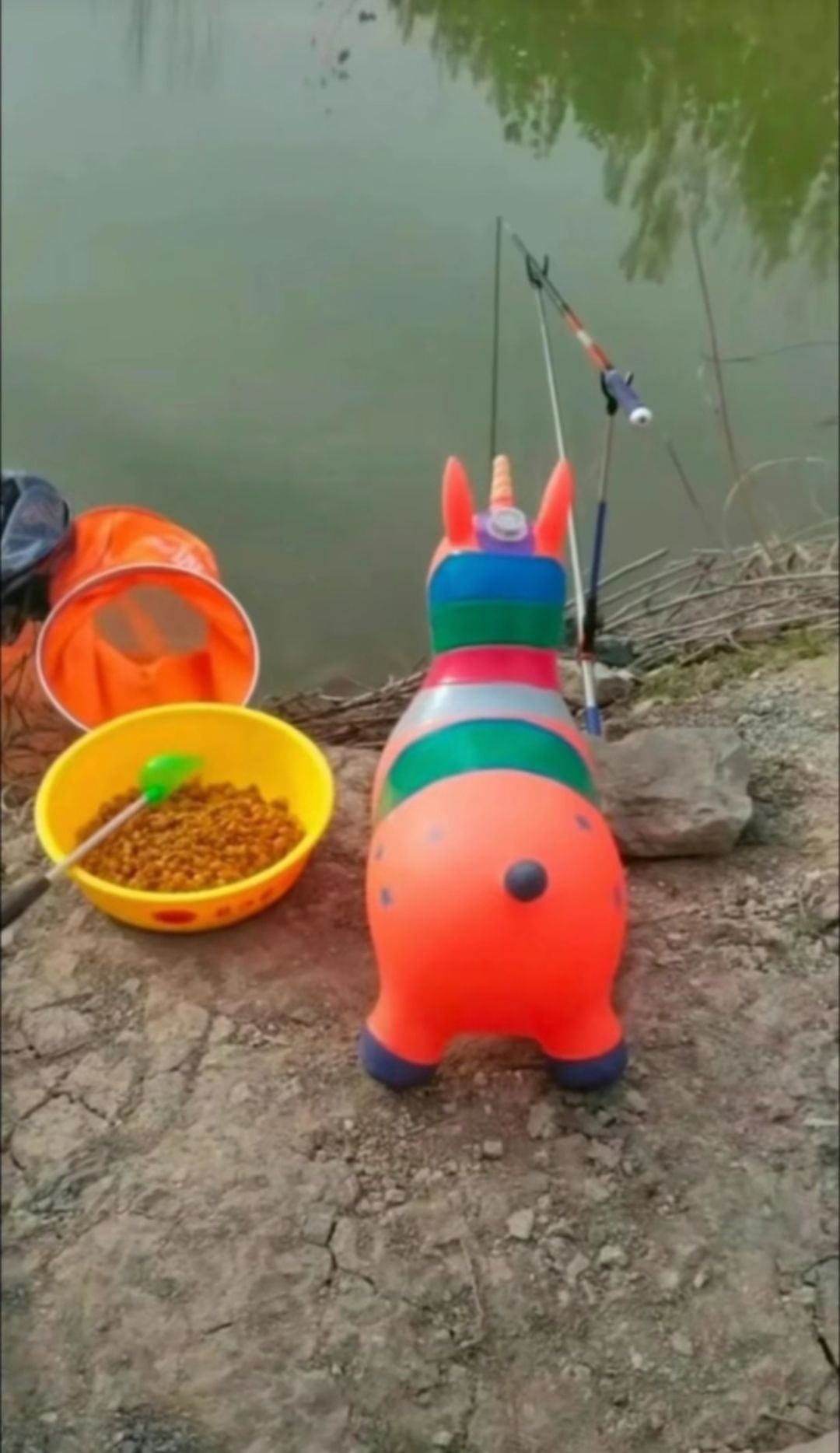 看看 1