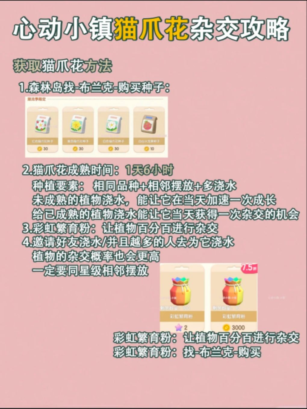 猫爪花培育攻略 2