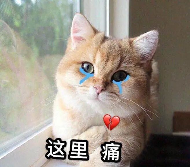 开服到现在资源榨干了证明自己脸黑 1