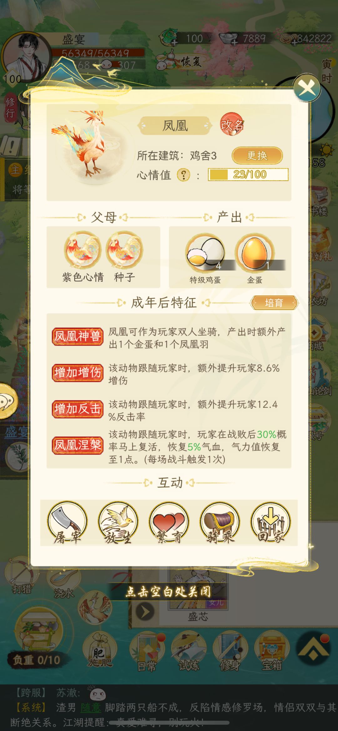 100级纪念 5
