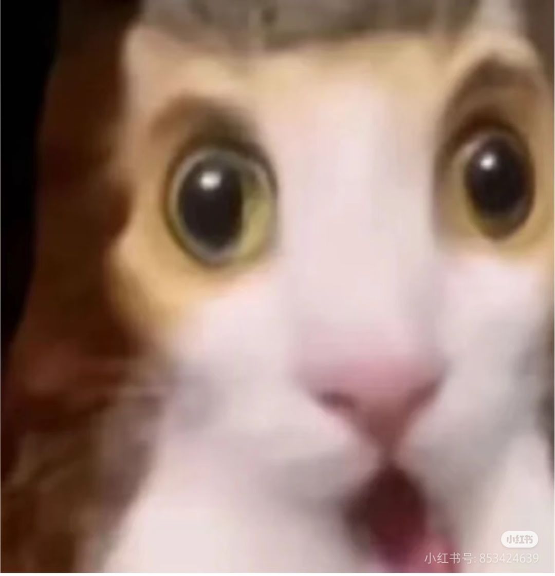 我加速键呢 2