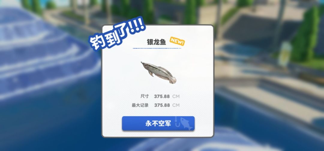 钓鱼 1