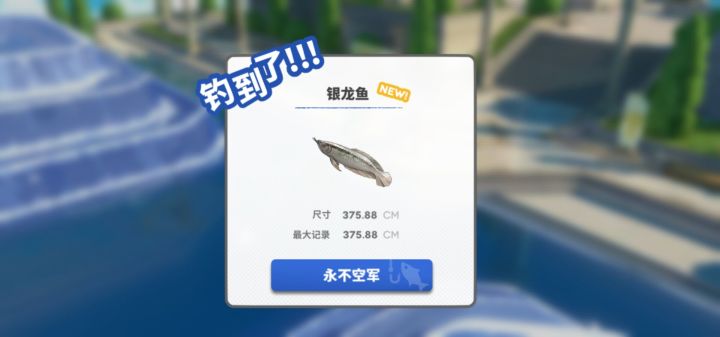钓鱼截图