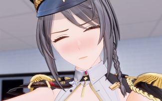 只要是你的命令......