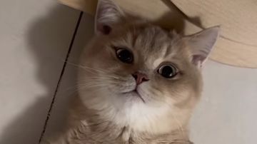 新活动六个剧情全解