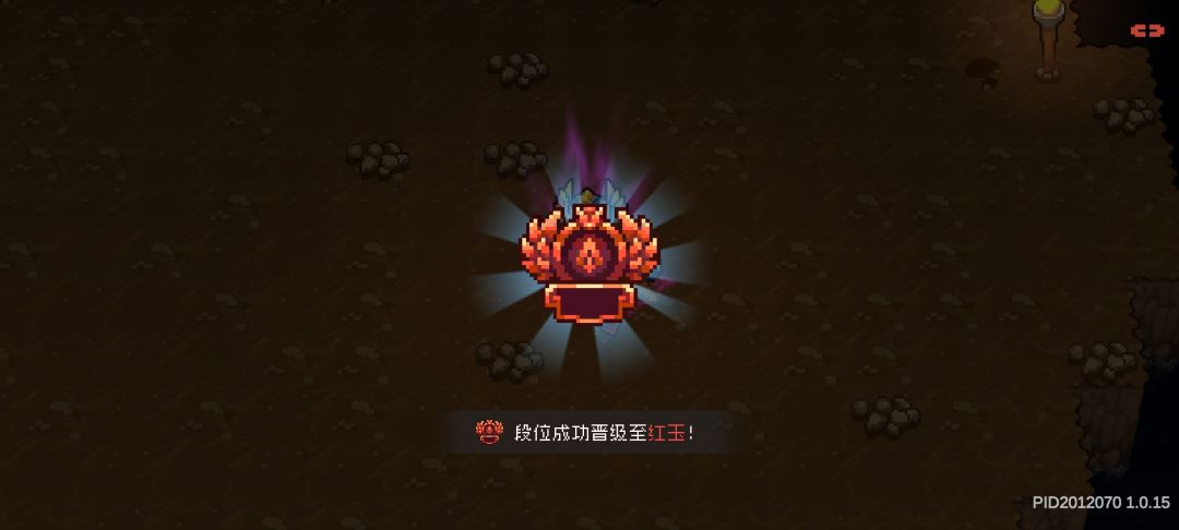 分享一下旋风刺客的看法截图