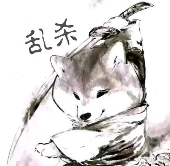 动态图片 1