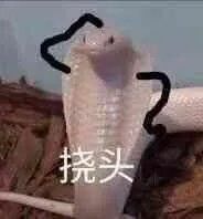 卡池 1