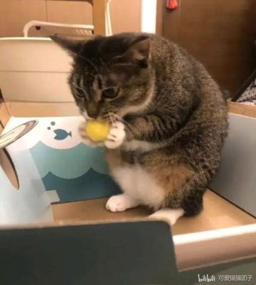 破防关键词“不需要你”