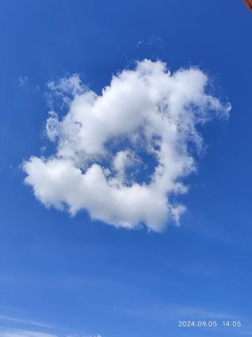 这开发一下，或许能帮助自闭孩子治疗