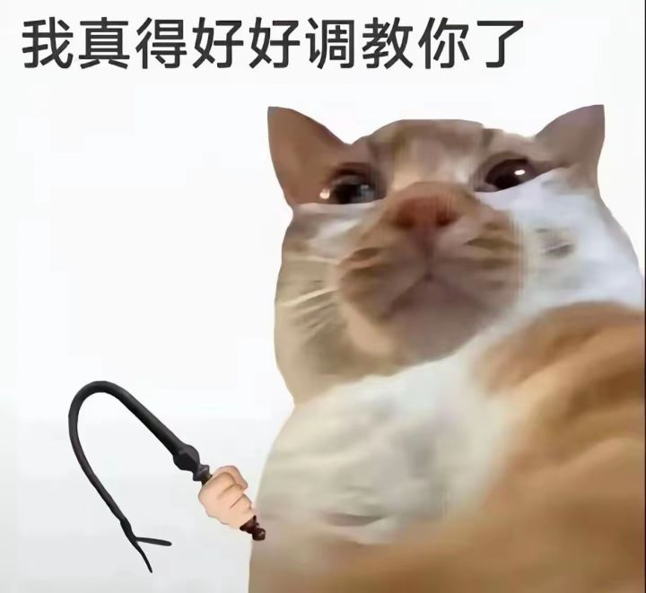 咒灵操术带着宿傩到未来篇与虎天帝做队友截图