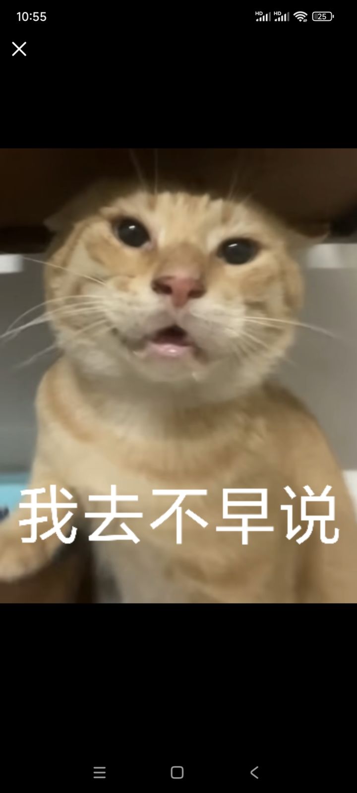 妙手空空是最强先天天赋,加高额命中截图