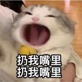 关于技能等级卡法截图