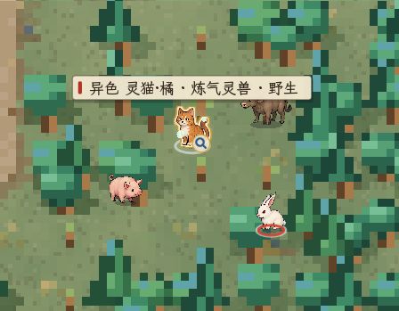 谁不想在修仙界找到一只哈基咪·橘截图