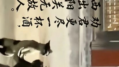 毕业感想截图