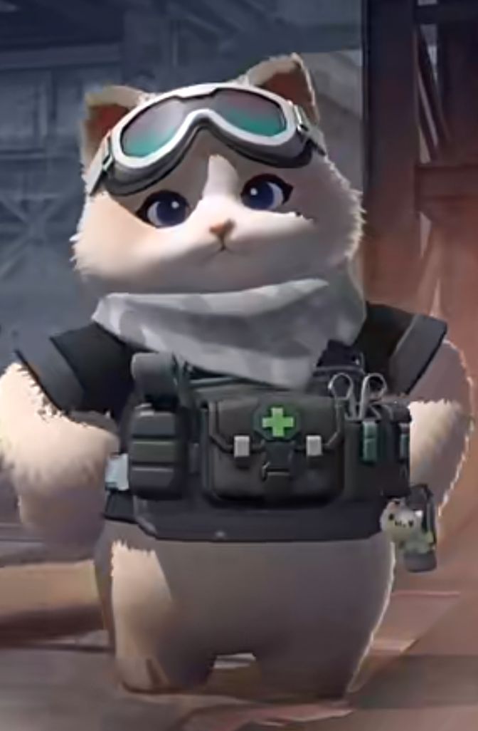代号新生藏品共创---招红猫 2