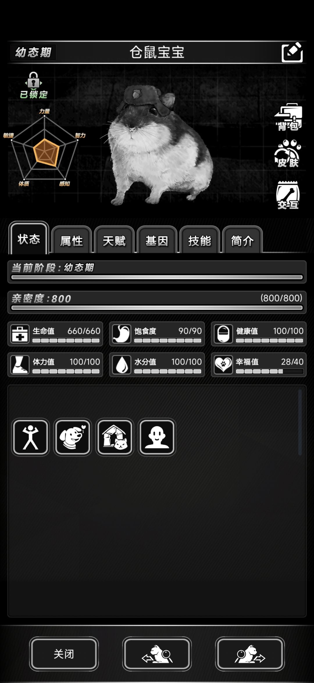 仓鼠宝宝 2