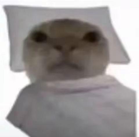 真仙区现状截图