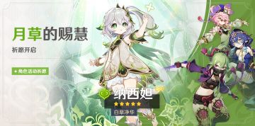 「月草的赐慧」祈愿：「白草净华·纳西妲(草)」概率UP！
