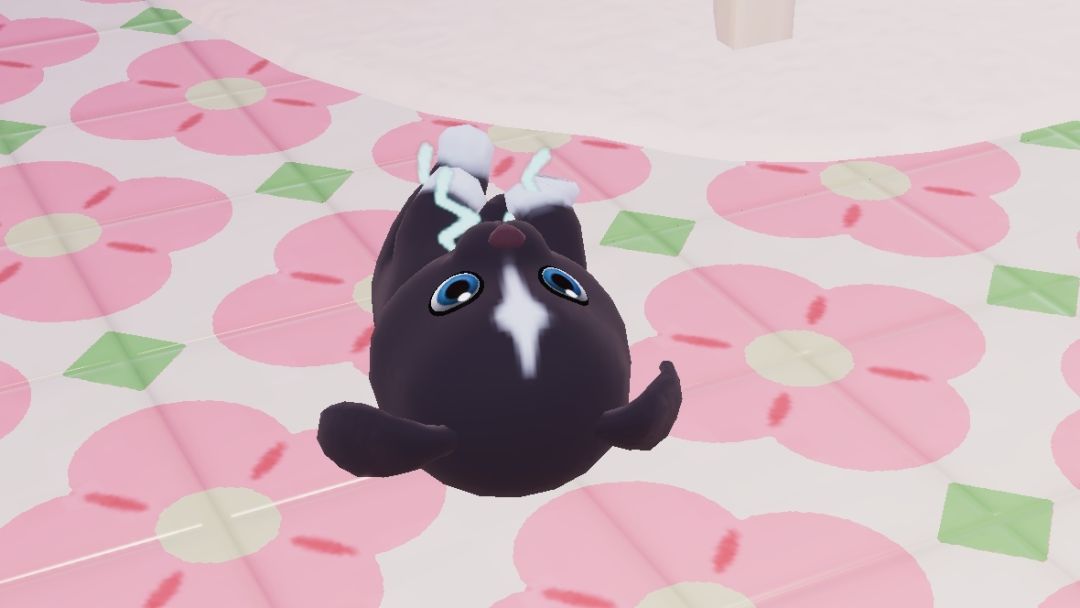 狗狗🐶肚肚打雷啦! 2