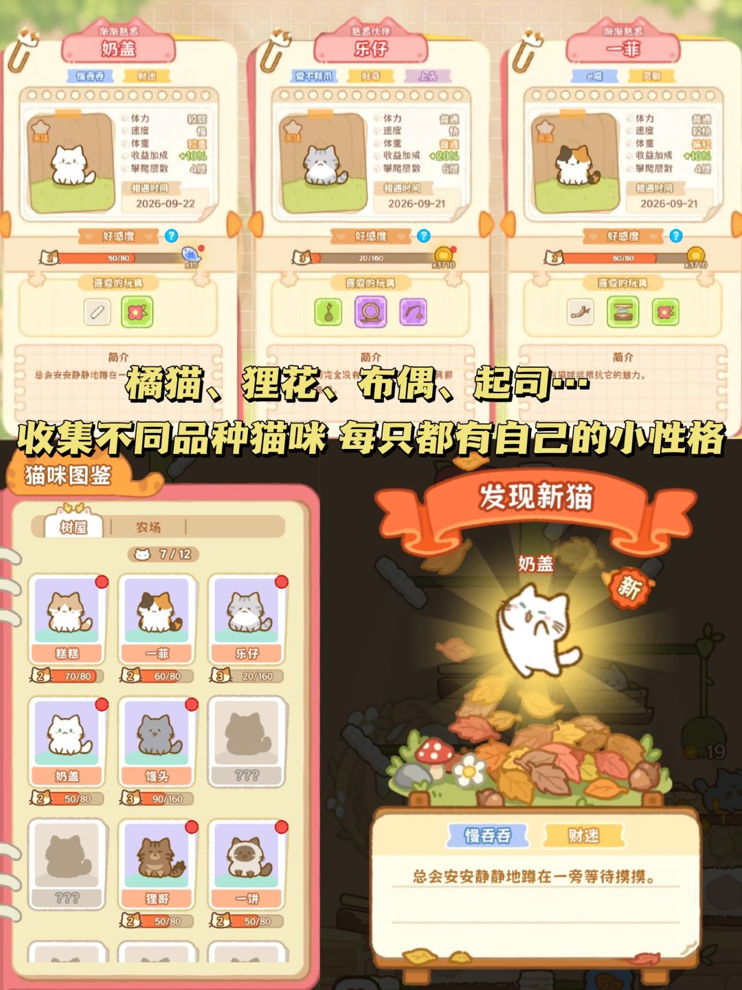 中国咪能飞!有这么可爱的猫你几点回家🐱 3
