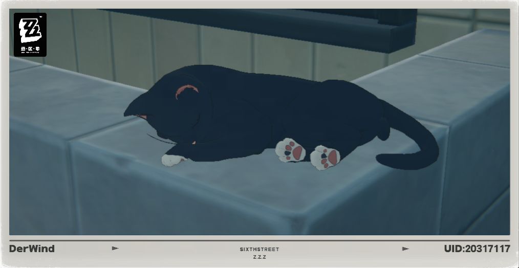 绝区零猫 7