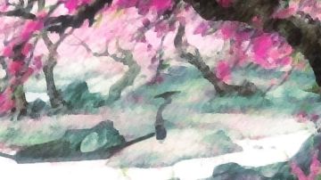 官方官方看过来