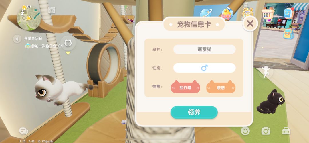 这两只猫 2