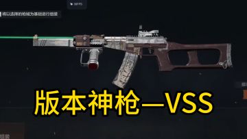 射速超高！子弹便宜！VSS你值得拥有！