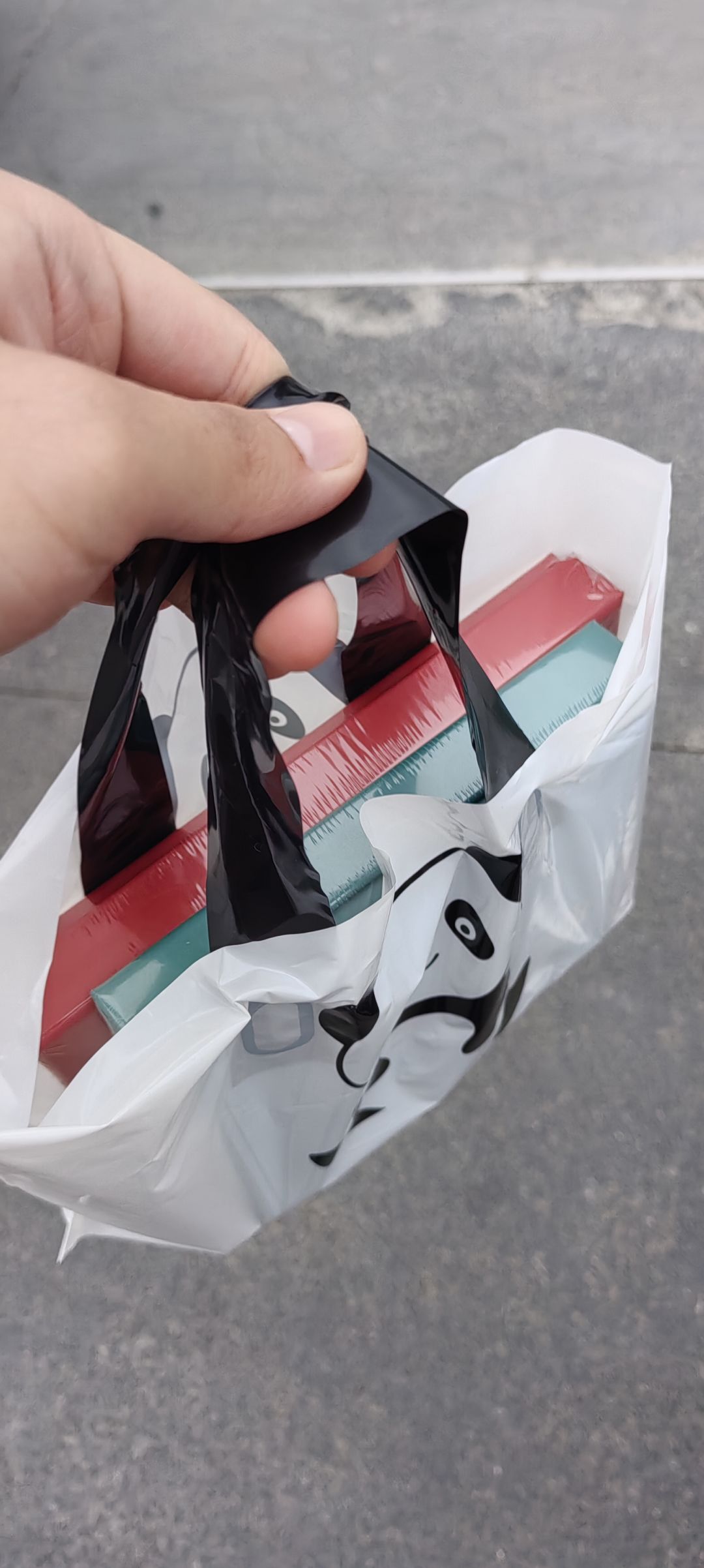 上午看熊猫,下午撸笨猫,美汁汁 2