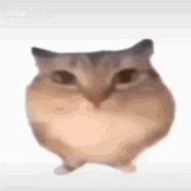 问问截图