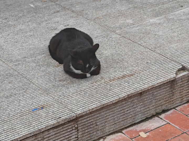 今日打卡截图