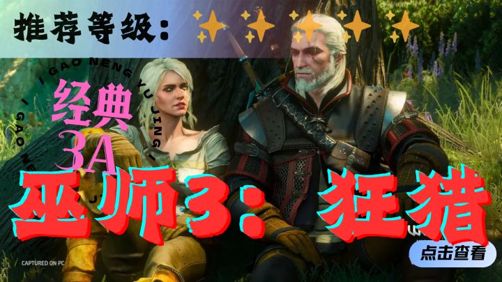 <巫师三:狂猎>成为猎魔人,成为一匹孤狼,游荡在大陆之中截图