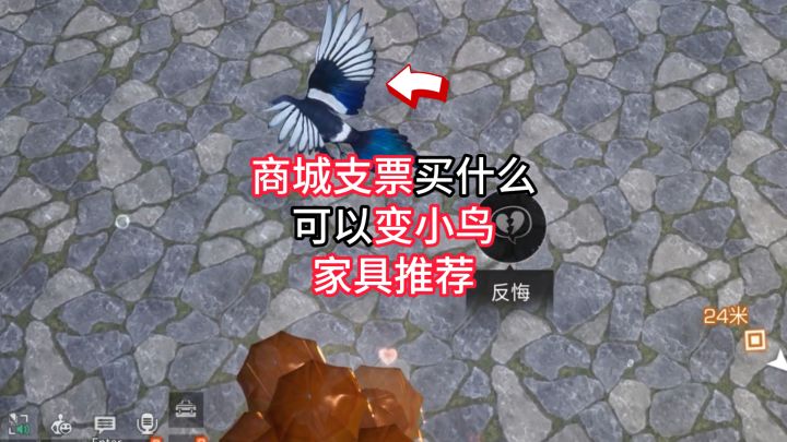 商城支票买什么?可以变小鸟的家具推荐截图