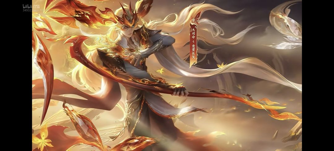 王者荣耀大司命fmvp 1
