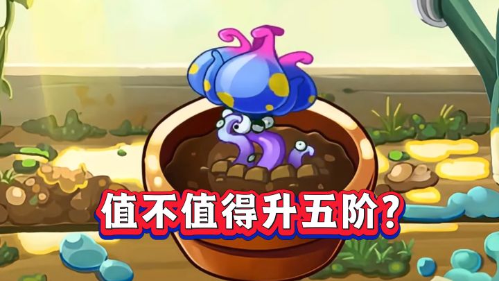 深渊海葵到底值不值得升五阶?1-5阶实测截图