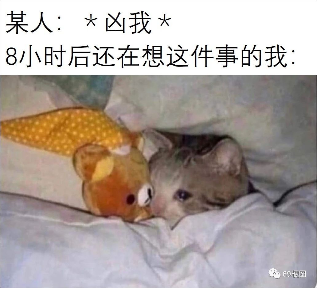 动态图片 6
