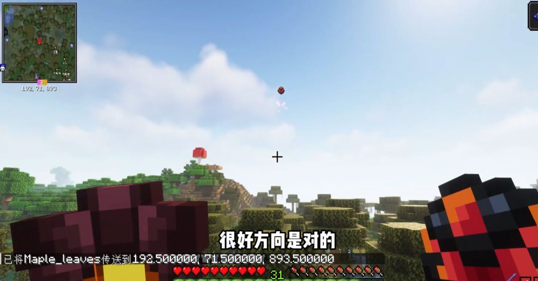 video-3850352