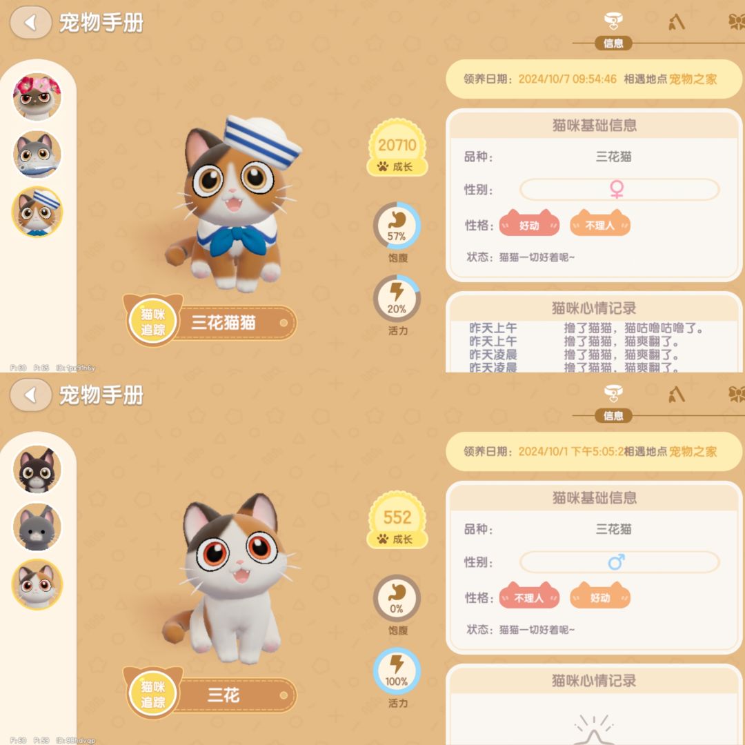 关于猫咪性格问题的讨论 1