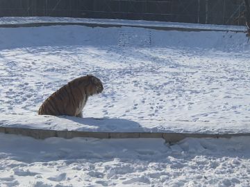 鹅鸭杀玩家问诊，进来看看自己属于哪一级